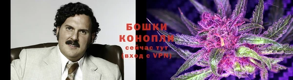 трава Нефтекумск