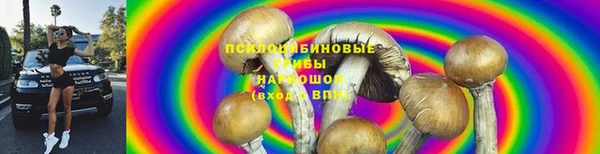 дурь Заволжье