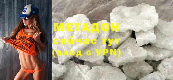шишки Бикин