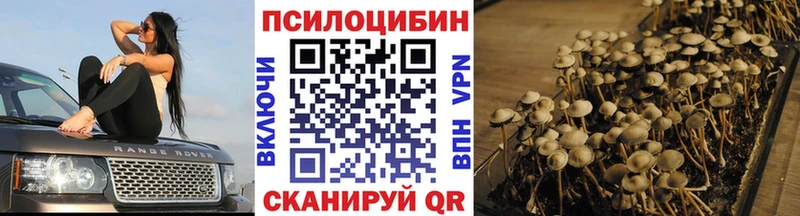 Галлюциногенные грибы Cubensis  Лабытнанги 