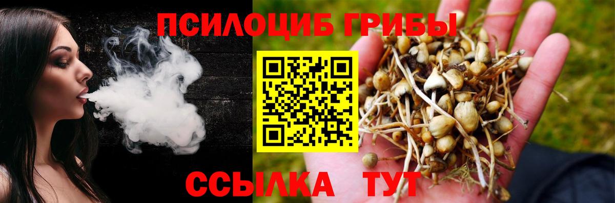 Псилоцибиновые грибы Cubensis Лабытнанги