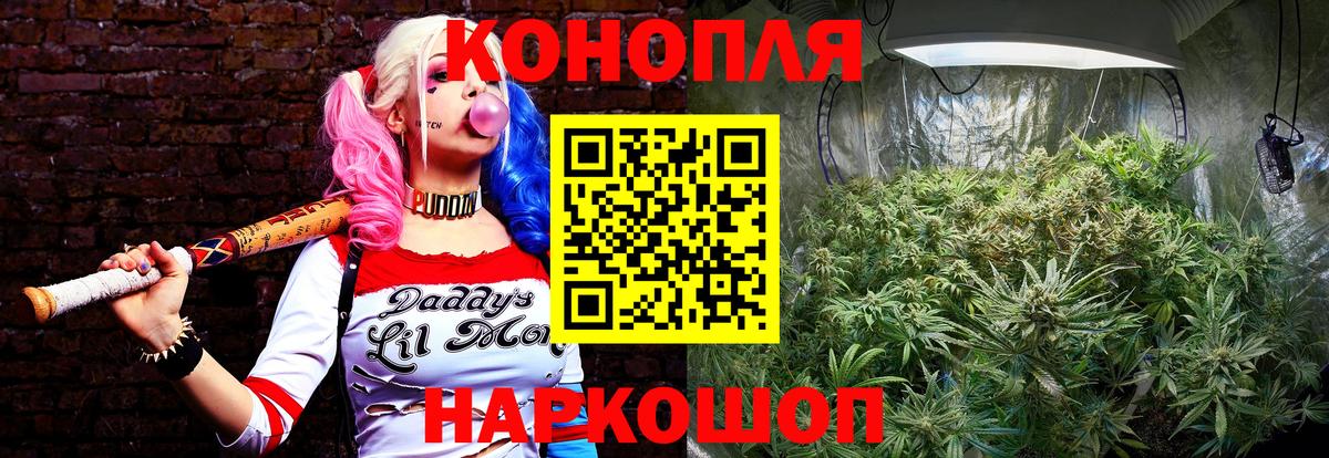 Каннабис ГИДРОПОН Лабытнанги